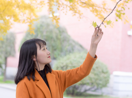 菲律宾马尼拉律师华人(律师解析)